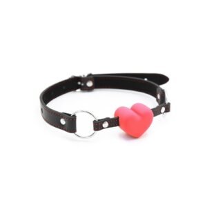PU Leather with Heart Gag