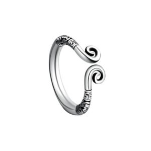Ancient Stainless Steel Cock Ring